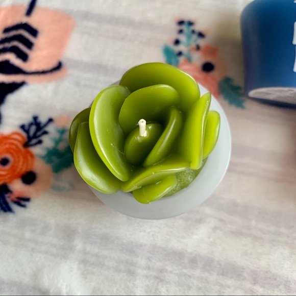 🌵 Cactus Succulent Decorative Candles 🌵 - Picture 5 of 7
